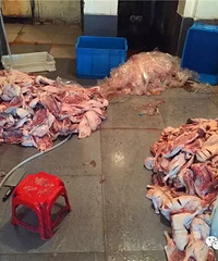 һҹ˾500๫䶳צ £