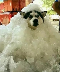 ŰޣҪӭ40+ġ 쿴Щװ