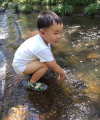 �������죬��ˮ�������