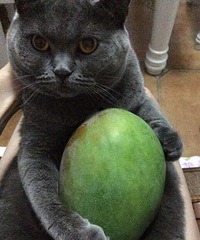 �Ϻ����й��ģ�������˹���ҵ�