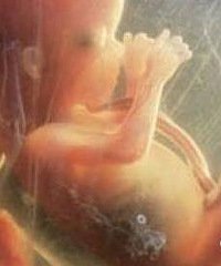 ̥������ƾ���Ȧ�� ���챻������ ���ž����Ų��ÿ���