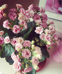 ��˵�и��������������ˣ�