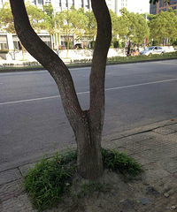 ��������úÿ�