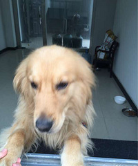 ����ð����