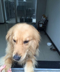 ����ð����