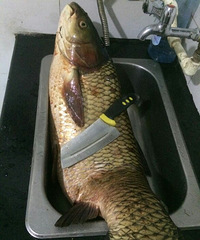 ��һ�¶��ٽ