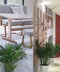 �˰۰�MUJI��ҵʱ��ȷ���� �ֳ�ʵ��ͼ�ع⣡