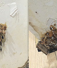 �·�����ס3���� �ұ��Ŵ���������ڲ�Ģ��