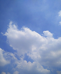 �����죬����˭����һ�������飬̧ͷ������