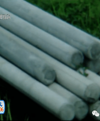 ʲôôֵǮ˵С͵ȥ͵...