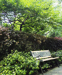 ���˾�Ȼ������ôƯ��һ��˽�һ�԰��