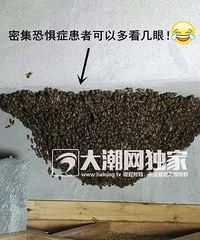 ֲĳСһ˼ҵĵ һ۷䣡