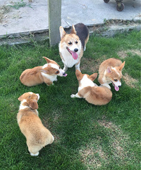 �»�����