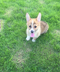 �»�����