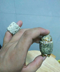 ������ĥ��һ����ָ �����˾��úÿ�ϲ������