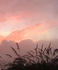 ���н���