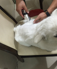 ��̫���ˣ��ּ����ˣ��ѿ����ˣ�