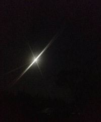 �ô������