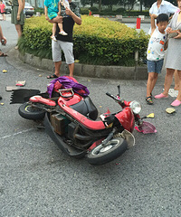 �����ȴ�Ҷ�������