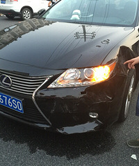 �����ȴ�Ҷ�������