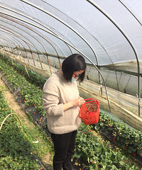 �����ò����ˡ�