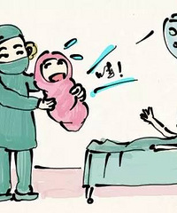 ���ȣ�����һ260����صĲ���˳��������Ӥ