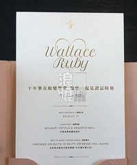 ��������������ϲ���ع� "WR"10��ֿ��������