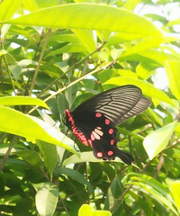 ��ͷʵ�ģ�����ʲô������