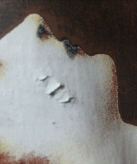 ���ĳ��ר����İ��� ����2�����������ѿ��ˣ�