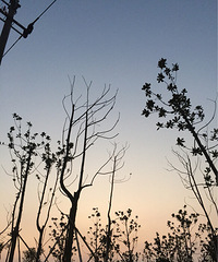 ��͵�������������ʤ�գ�