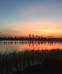 ��͵�������������ʤ�գ�