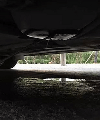 SUV����·�ϣ���Ȼ��һ���ֽ��������