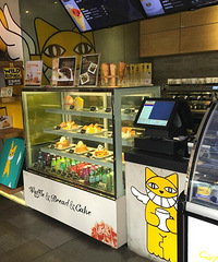 嘉兴+cafettoma+喵