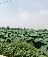 ������·������ȡ����������