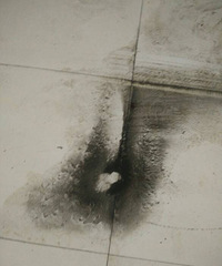 ϴϴ������