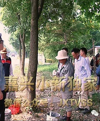 Ҫ39 ڳǹܶӵļලϽָ¶