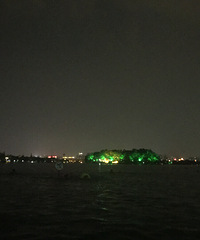 �����������֤����