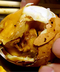 �������ܿ��ų� ζ������û���ܾ� һ��������5����