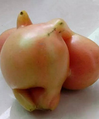 Χ�ۣ���ܤ��¥������ֳ����ⷬ�ѣ���ţ��������ȷ���~~