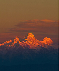 �������е��ഺ �����ź�