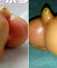 Χ�ۣ����˴����ֳ����ⷬ�ѣ�