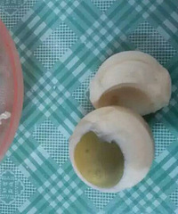 ���ڳ��ϵ�������