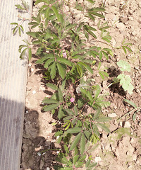 ��һ�ο��� ���߲� ����