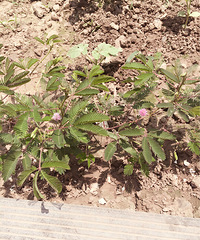 ��һ�ο��� ���߲� ����