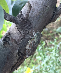 ֪��֪�ˣ�˶�����ۣ�