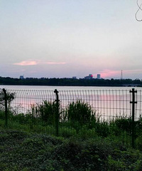 ��԰����