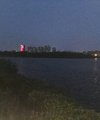 ��԰����