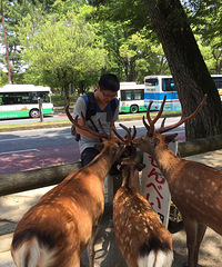 ����·�Ͽ��ſ��� �����³�ιι¹Ⱥ