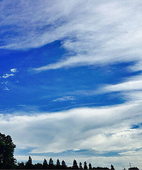 ������˵��������ˣ�