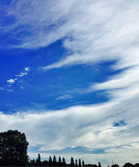 �����ɹ��հ��ưɣ�̨����ǰ�ļ��˺�������